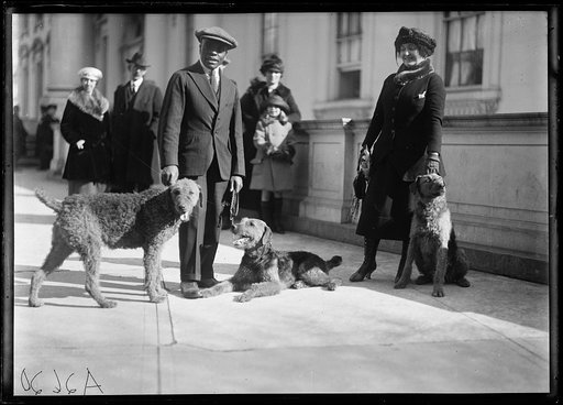 The Harding's dog "Laddie boy" and other dogs