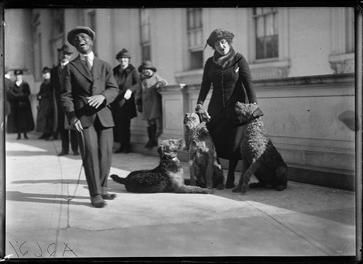 The Harding's dog "Laddie boy" and other dogs