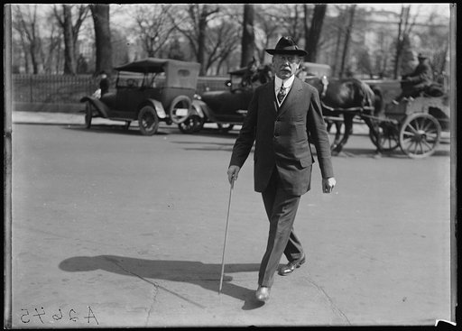 Unidentified man; White House in background. Washington, D.C.