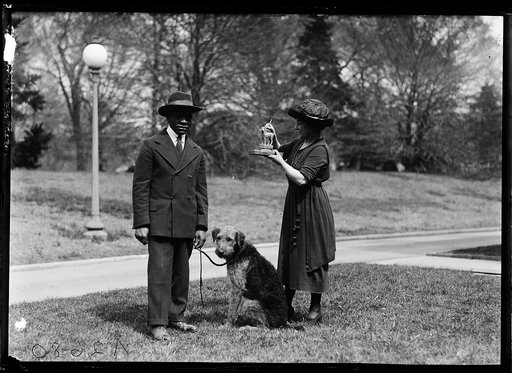 Harding's dog "Laddie Boy"