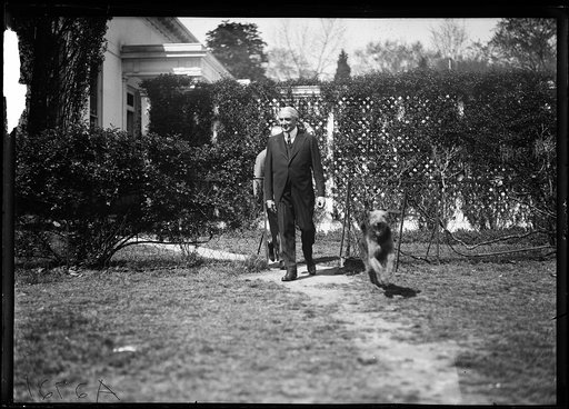 President Harding and dog "Laddie Boy" at White House, Washington, D.C.