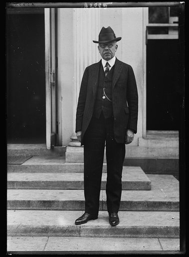 Man at White House, Washington, D.C.