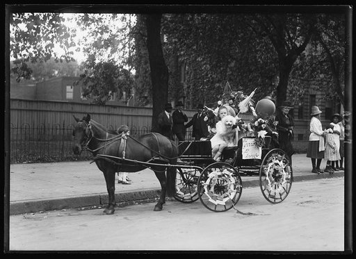 Humane Educational Society parade