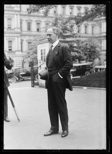Man at White House, Washington, D.C.