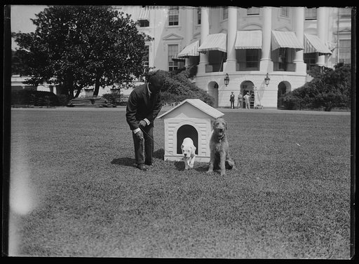 Laddie Boy, dog belonging to the Hardings, and unidentified man at White House, Washington, D.C.