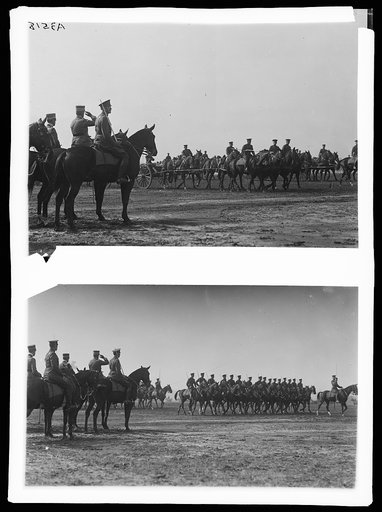 Cavalry