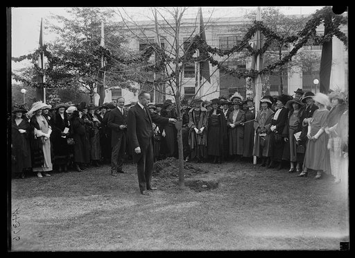 Calvin Coolidge, tree planting
