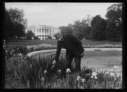 Chas. Lee Patton, General "handy man" of the White House, who has known Pres. Harding since the Chief Exec. was 12. Was gardner for Dr. George T. Harding, the Pres's father in Marion, Ohio