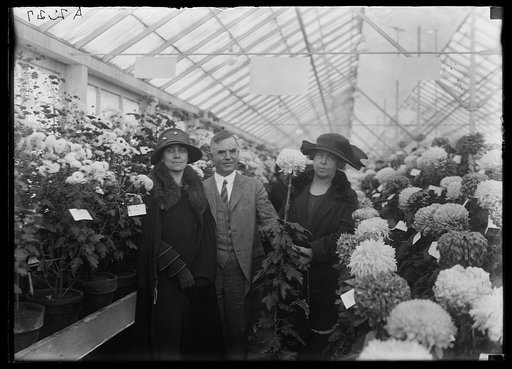 Grace Coolidge and Henry C. Wallace with chrysantheums