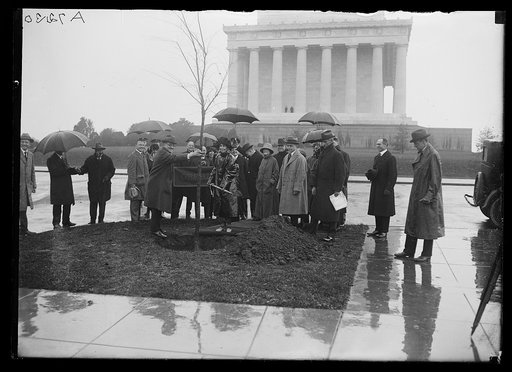 Mrs. Calvin Coolidge planting the first Colledge [sic] Tree on the grounds of the Lincoln Memorial. Dr. H.C. King is seen holding the tree