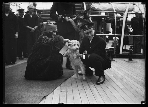 American Red Cross and Navy