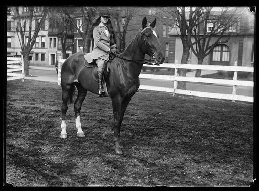 Young woman on horseback