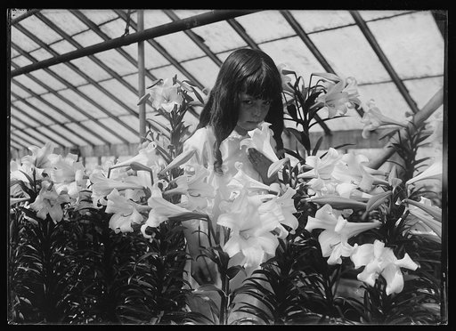 Girl with lilies in greenhouse