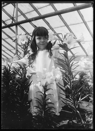 Girl with lilies in greenhouse