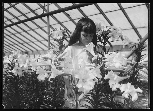 Girl with lilies in greenhouse