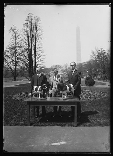 Henry C. Wallace, center, with unidentified and cow figures; Washington Monument in background. Washington, D.C.
