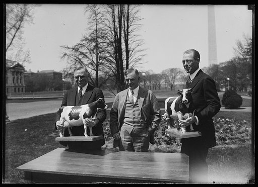 Henry C. Wallace, center, with unidentified and cow figures; Washington Monument in background. Washington, D.C.