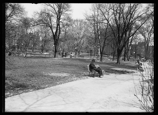 Park scenes, Washington, D.C.