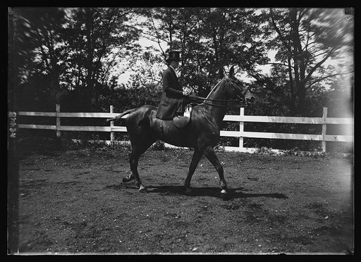 Horseshow. Mrs. Chas. L. Clifford