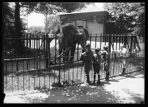 Zoo, Wash., D.C.
