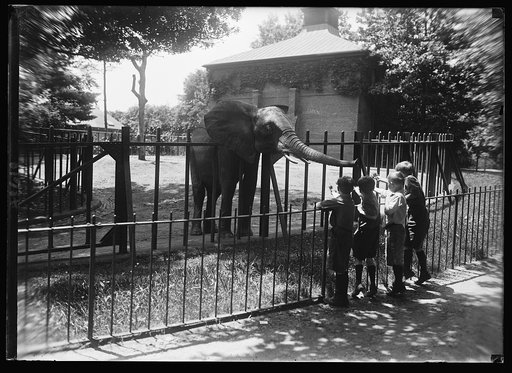 Zoo, Wash., D.C.