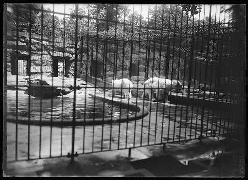 Zoo, Wash., D.C.