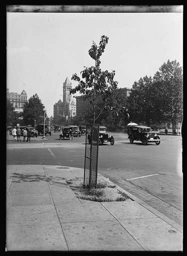 Pennsylvania Avenue, Washington, D.C.; Old Post Office Pavilion in background