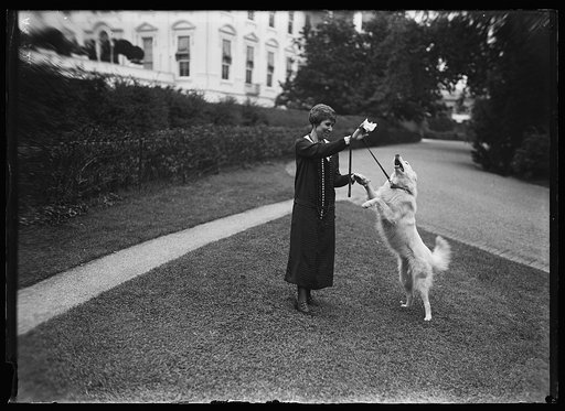 Grace Coolidge with dog outside White House, Washington, D.C.