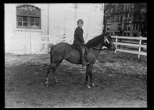 Boy on horseback