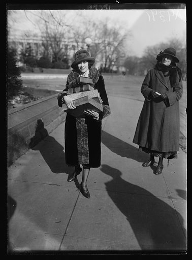 Miss Thelma Wiles of St. Louis, one of the prettiest and youngest exponents of the Equal Rights Amendment, who is now connected with the National Women's Party in Washington