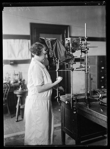 Woman, Bureau of Standards