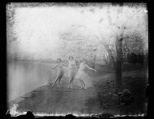 "Spring is here" cried these dainty maidens as they cavorted amid the beautiful Japanese cherry blossoms along the banks of the Potomac at Washington. The fact that a chill wind prevailed did not dampen the spirits of Alexia Kenney (left), Elenora Peake, and Betty Yoder
