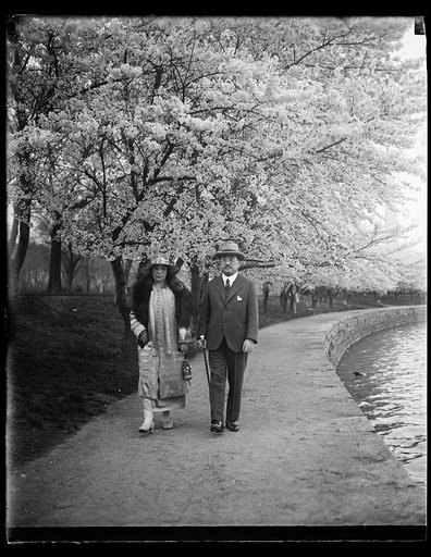 The Japanese Ambassador and Mme. Tsuneo Matsudaira snapped as they were strolling under the Japanese cherry blossoms which are now in full bloom in Potomac Park, Washington. The blossoms are the greatest spring-time attraction in the National Capital