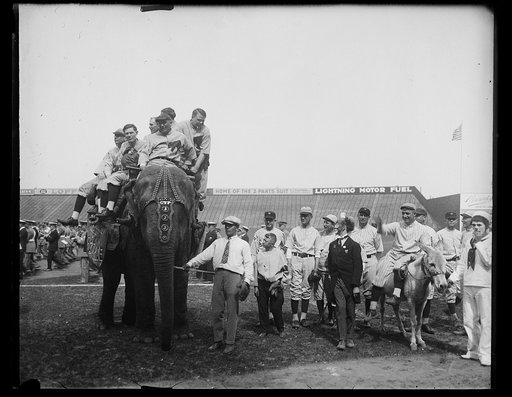 Baseball players and elephant
