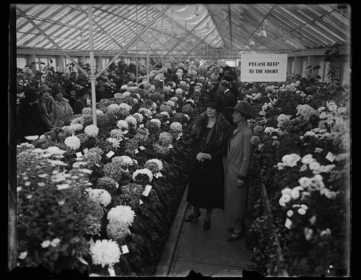 Mrs. Coolidge and unidentified in greenhouse with flowers