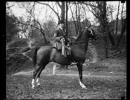 Man on horesback