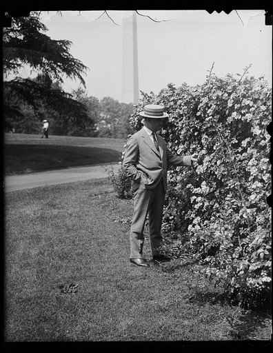 Unidentified man; Washington Monument in background. Washington, D.C.