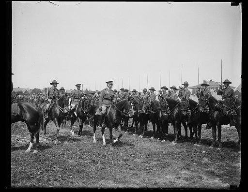 Cavalry