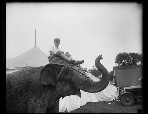 Boy on elephant