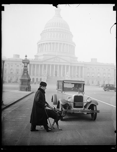 U.S. Capitol, Washington, D.C.