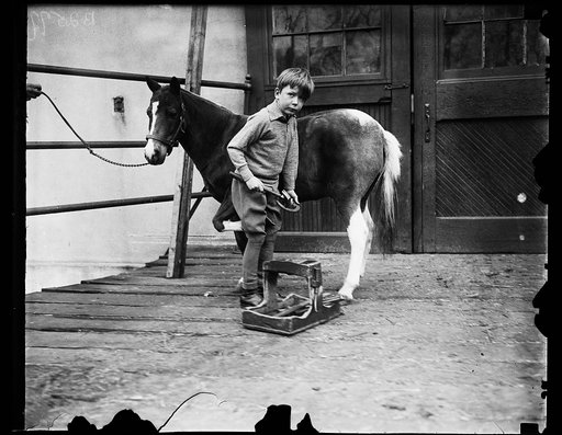 Washington society youngster shoes pony for children's horse show. Young Howland Russell, grandson of Mrs Borden Harriman, refuses to intrust to a groom the important business of preparing his pony "Tottles" for the Children's Horse Show which will held in the National Capital on St. Patrick's Day