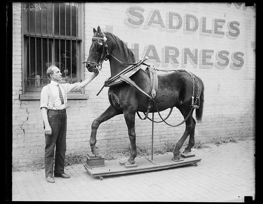 Horse display at "Saddles, Harness" building