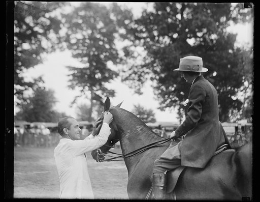 Woman on horseback