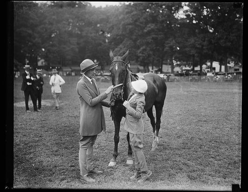 Horse