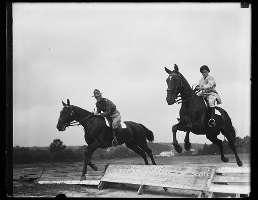 Horses jumping