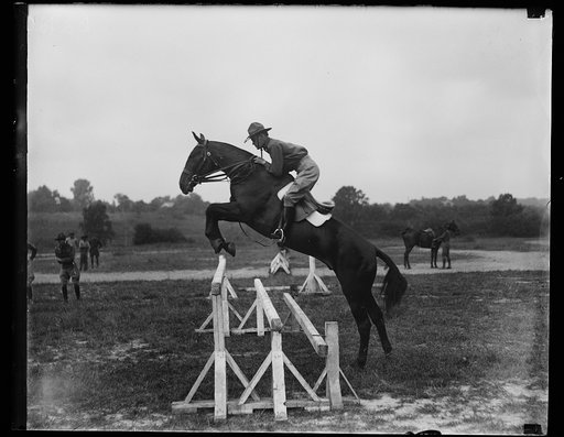 Horse jumping