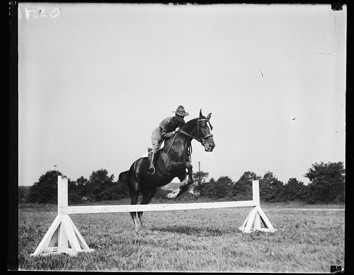 Horse jumping