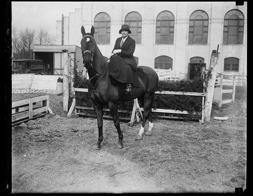 May be next cabinet lady. Mrs. William J. Donovan, wife of the Assistant Attorney General and who is now being prominently mentioned as Attorney General in the Hoover cabinet, is an ardent horsewoman and is frequent seen on the bridle paths around the National Capital