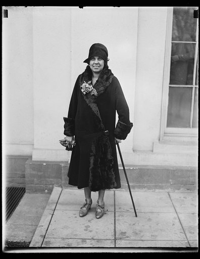 Woman at White House, Washington, D.C.