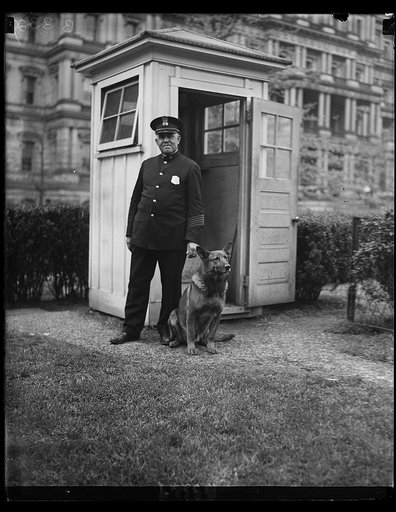 New White House sentry. "King Tut," President Hoover's big German police dog, now makes the rounds of the police sentry boxes in the White House grounds through the night. He is shown with W.S. Newton of the White House police